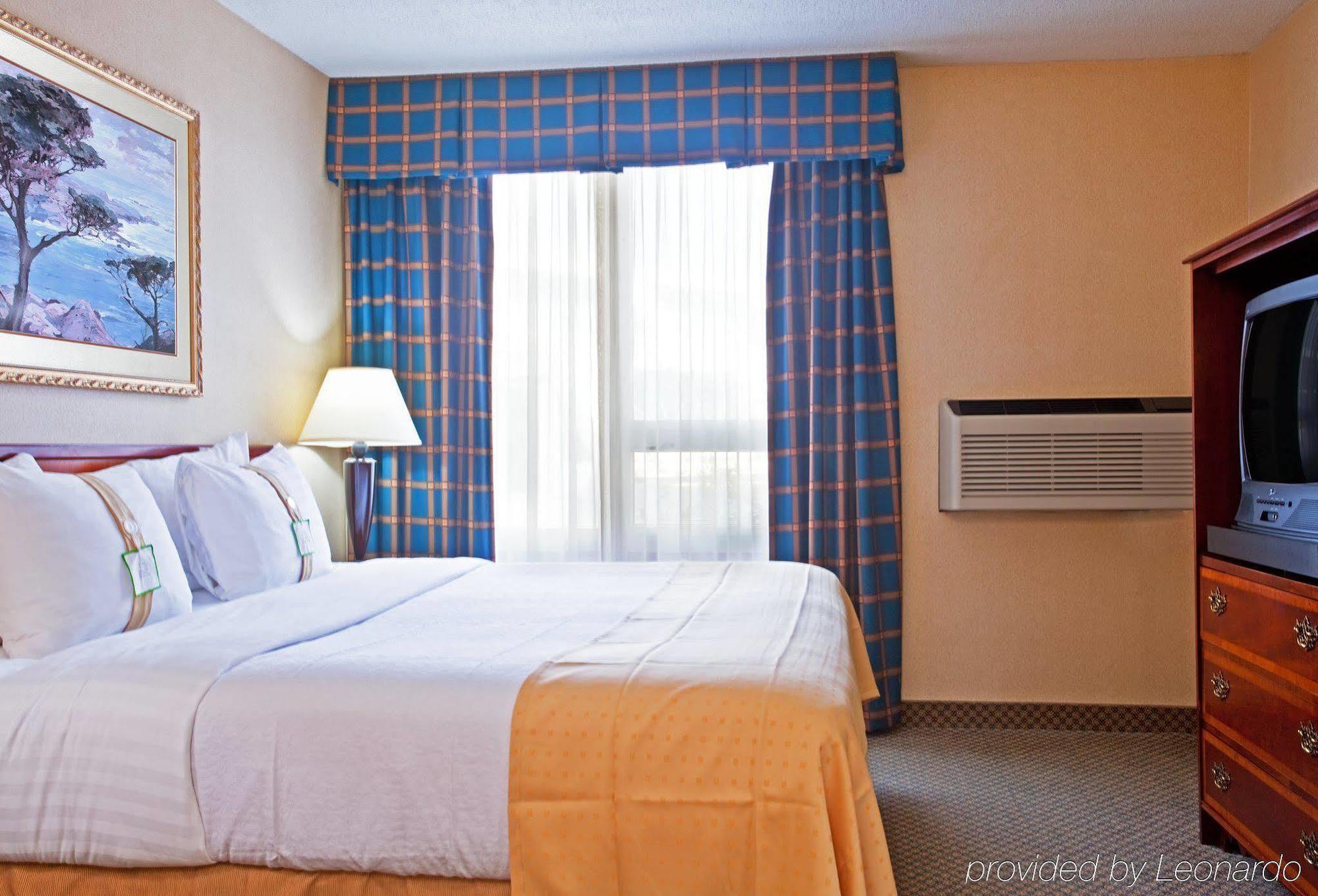 Holiday Inn Chicago - Elk Grove, An Ihg Hotel Elk Grove Village Szoba fotó